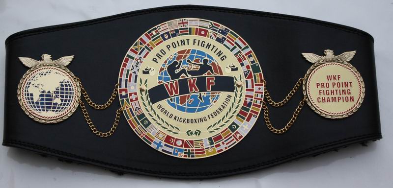 WKF Pro Point Fighting World belt