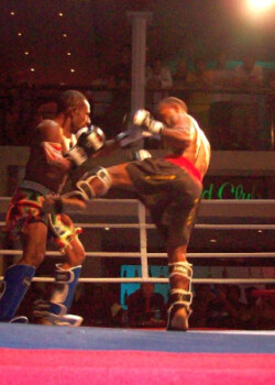 2014png_szept_bunyo-005
